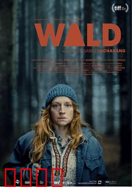 走出丛林:荒野求生记